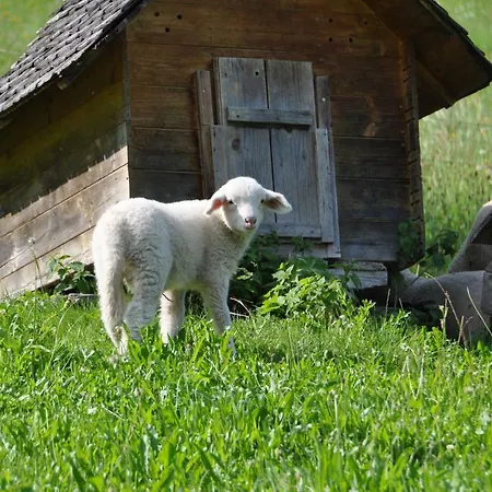 Tramontana Apartamento Bürserberg